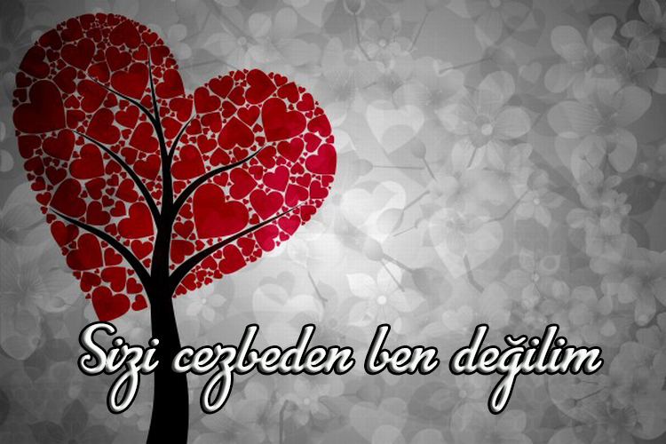 Sizi cezbeden ben değilim 
