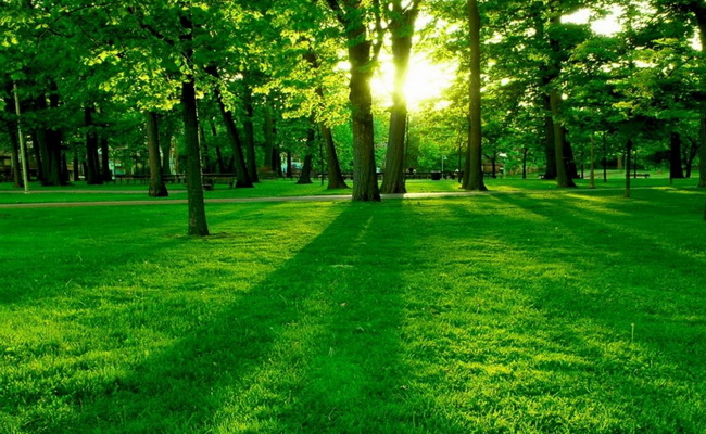 Kardeşlik Çağrısı – Bir Ayet Bir Hadis