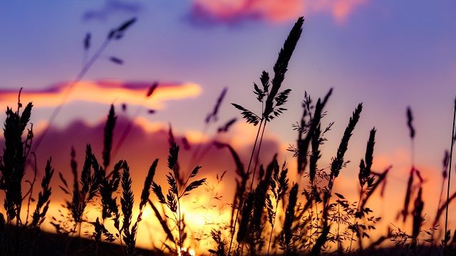 Merhametim Gazabımı Geçti Ali’m