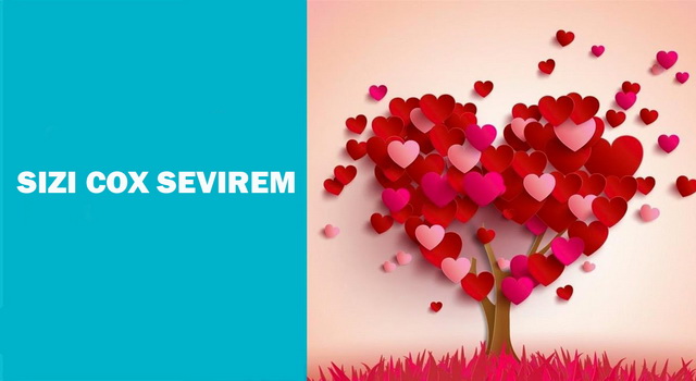 SIZI COX SEVIREM