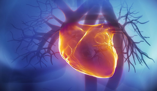 Kalpler ancak Allah’ı anmakla huzur bulur.