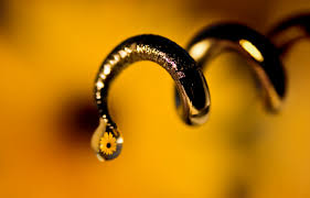 Üzerime Şimdiden Nurlar Yağmaya Başladı