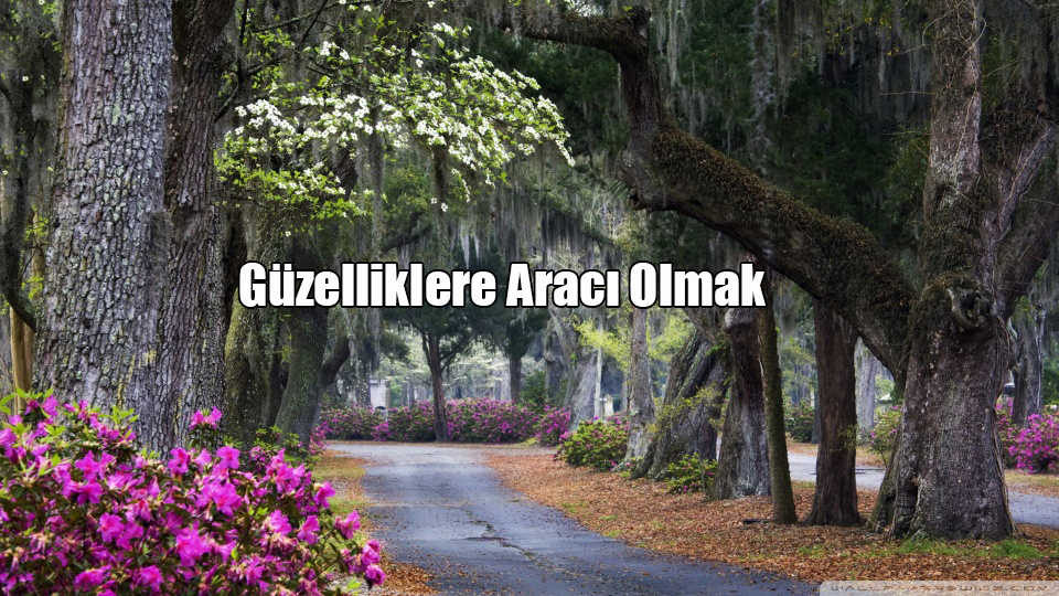 Güzelliklere Aracı Olmak