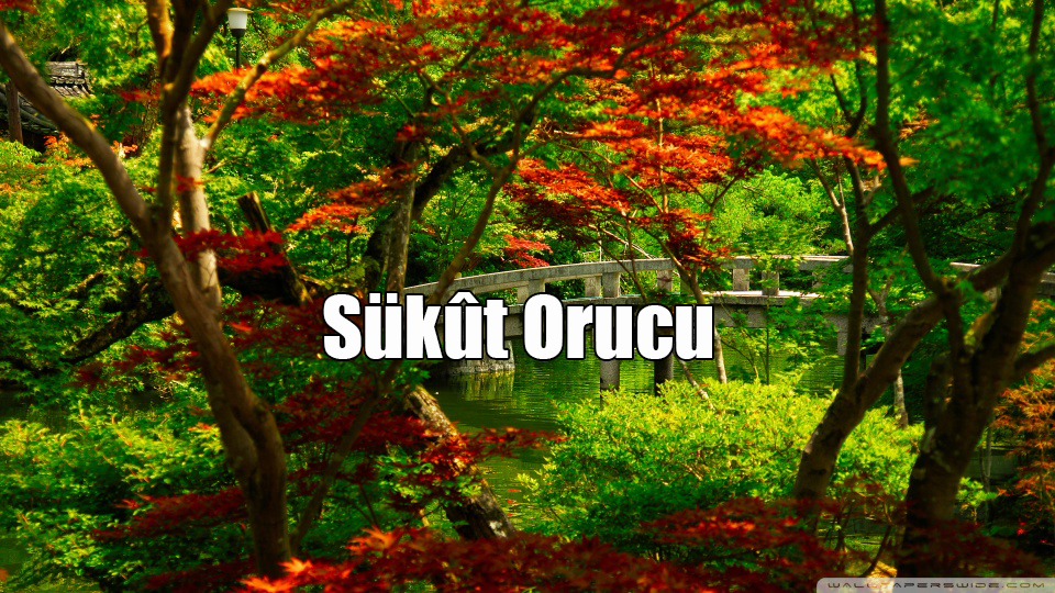 Sükût Orucu
