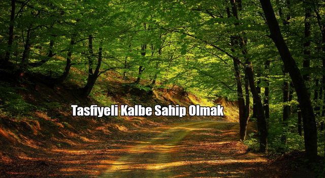 Tasfiyeli Kalbe Sahip Olmak