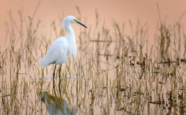 Yayılması Yapılmasından Daha Zararlı