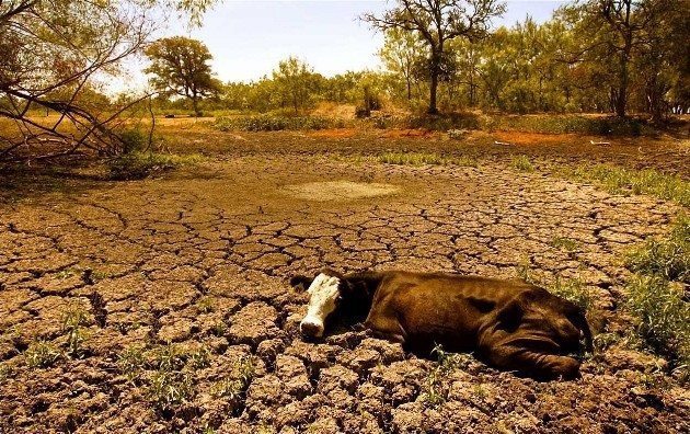 Yaz Bunları Kuraklık Başladı