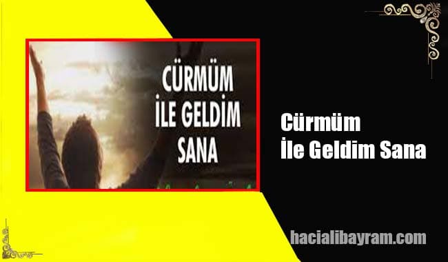 Cürmüm İle Geldim Sana