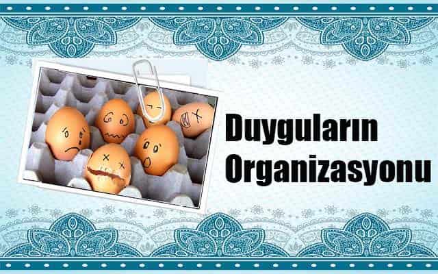 Duyguların Organizasyonu